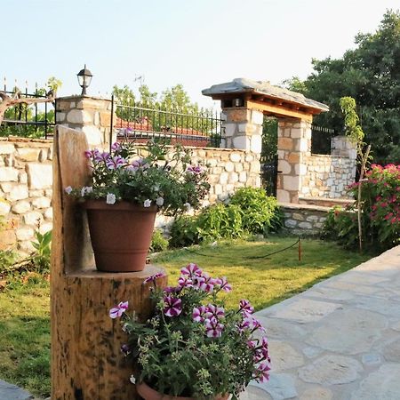 Vasilis House Villa Theologos  Exteriör bild