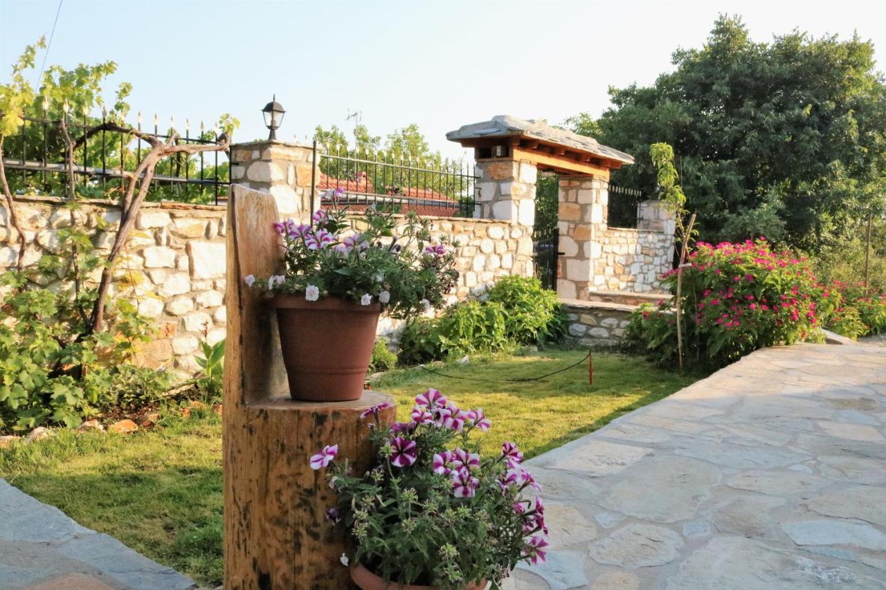 Vasilis House Villa Theologos  Exteriör bild